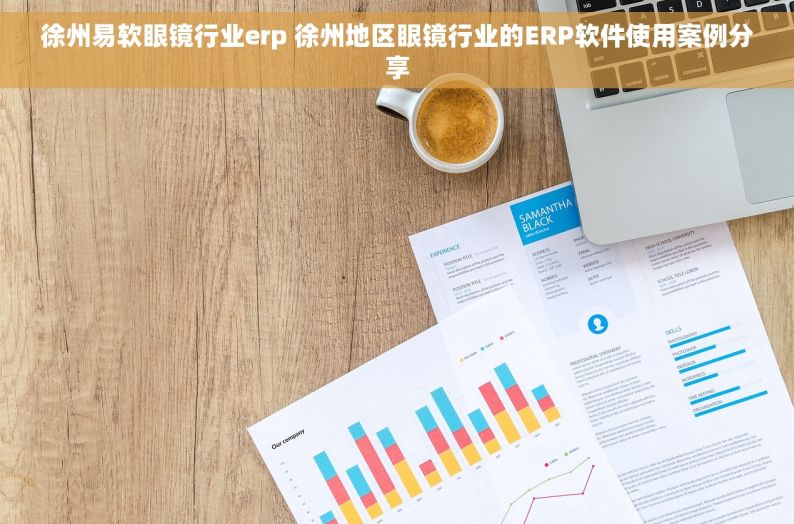 徐州易软眼镜行业erp 徐州地区眼镜行业的ERP软件使用案例分享