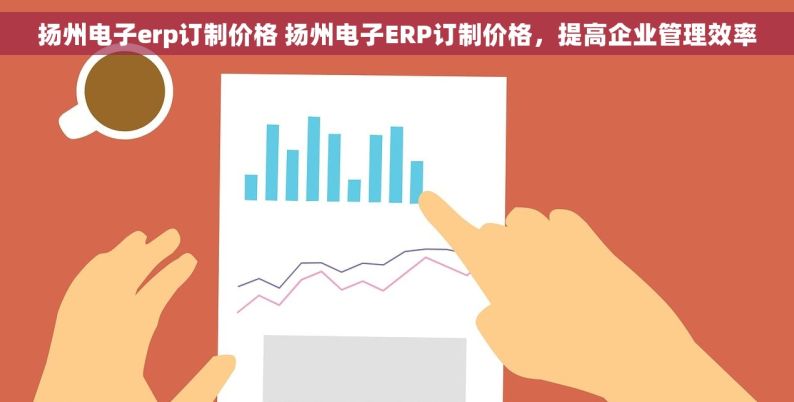 扬州电子erp订制价格 扬州电子ERP订制价格，提高企业管理效率