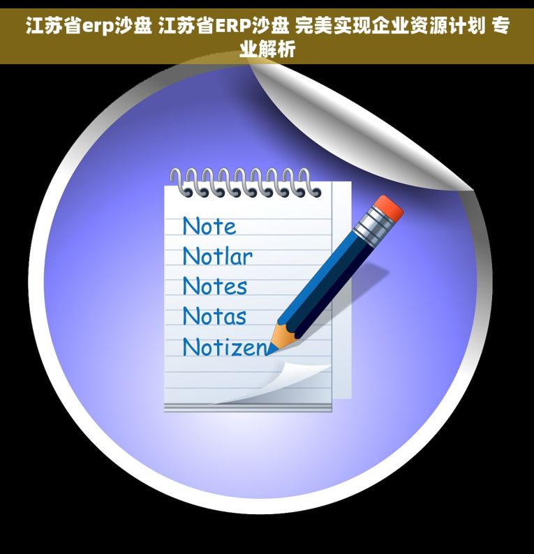 江苏省erp沙盘 江苏省ERP沙盘 完美实现企业资源计划 专业解析