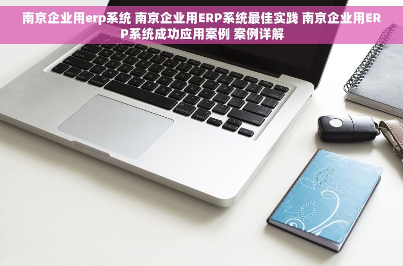 南京企业用erp系统 南京企业用ERP系统最佳实践 南京企业用ERP系统成功应用案例 案例详解