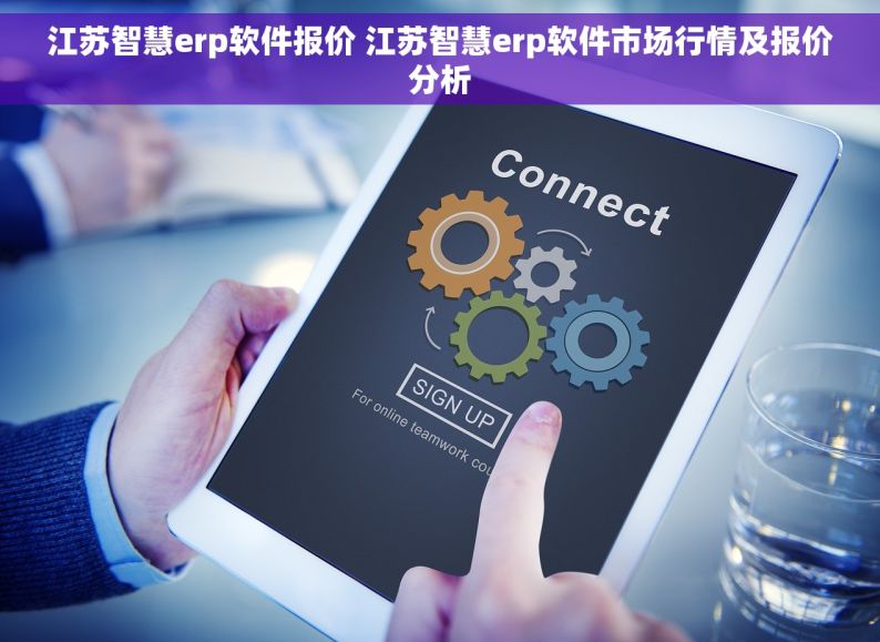 江苏智慧erp软件报价 江苏智慧erp软件市场行情及报价分析