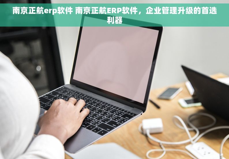 南京正航erp软件 南京正航ERP软件，企业管理升级的首选利器