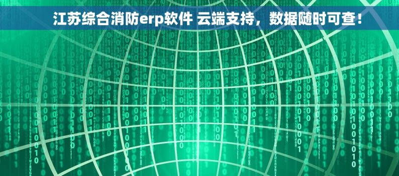     江苏综合消防erp软件 云端支持，数据随时可查！