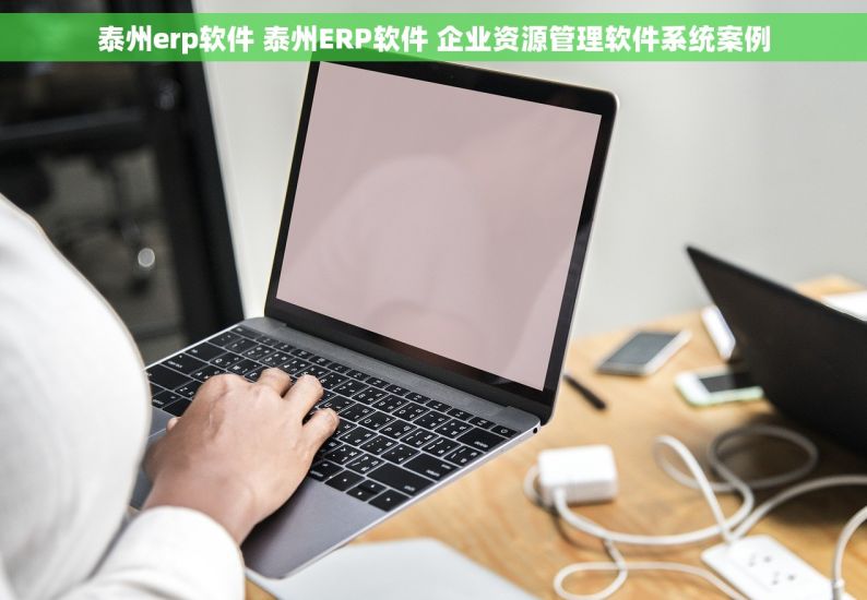 泰州erp软件 泰州ERP软件 企业资源管理软件系统案例