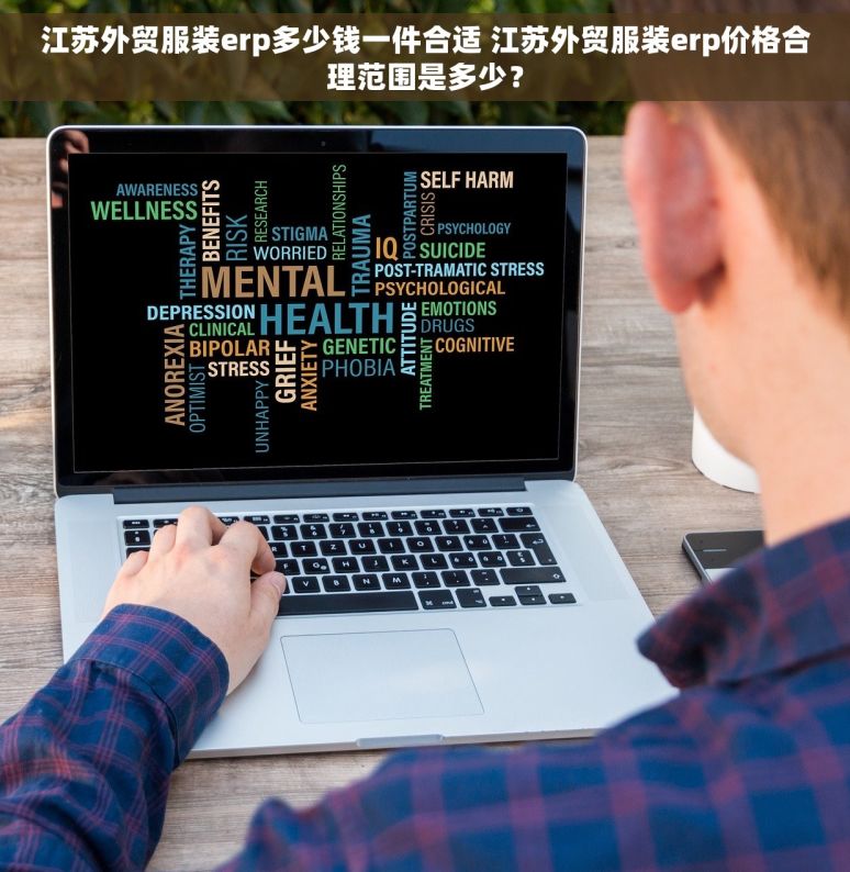 江苏外贸服装erp多少钱一件合适 江苏外贸服装erp价格合理范围是多少？