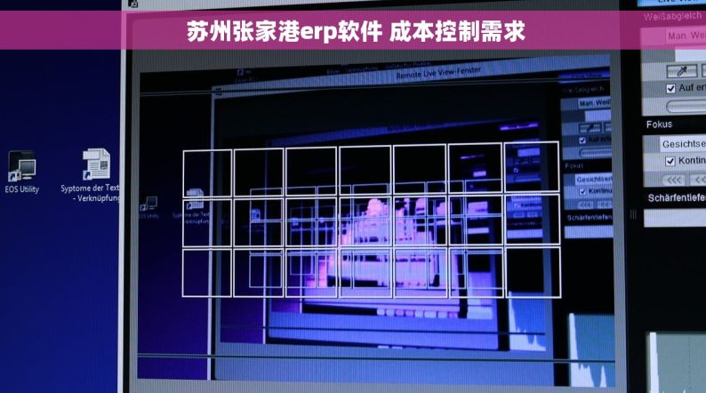  苏州张家港erp软件 成本控制需求