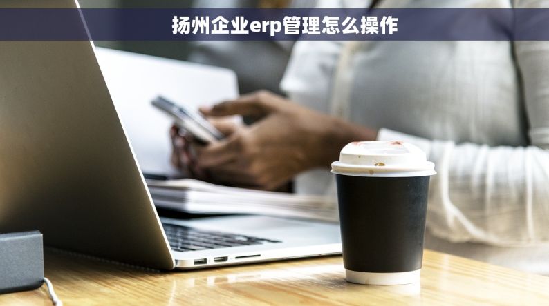     扬州企业erp管理怎么操作