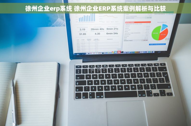 徐州企业erp系统 徐州企业ERP系统案例解析与比较