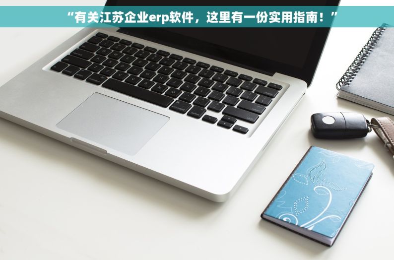 “有关江苏企业erp软件，这里有一份实用指南！”