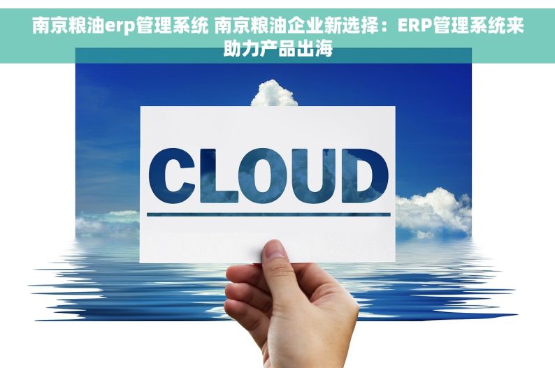 南京粮油erp管理系统 南京粮油企业新选择：ERP管理系统来助力产品出海