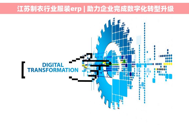  江苏制衣行业服装erp | 助力企业完成数字化转型升级