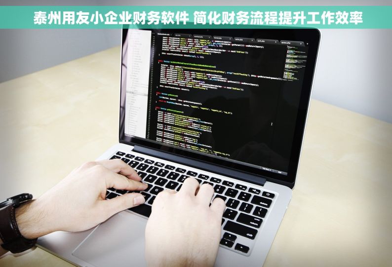  泰州用友小企业财务软件 简化财务流程提升工作效率