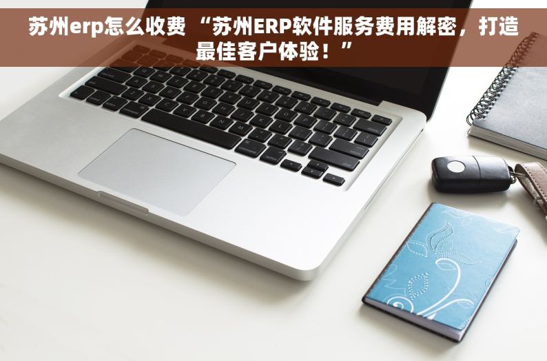 苏州erp怎么收费 “苏州ERP软件服务费用解密，打造最佳客户体验！”