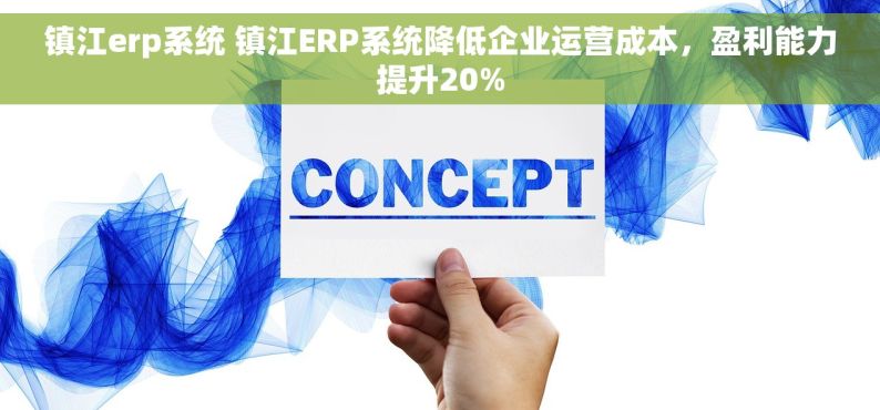 镇江erp系统 镇江ERP系统降低企业运营成本，盈利能力提升20%