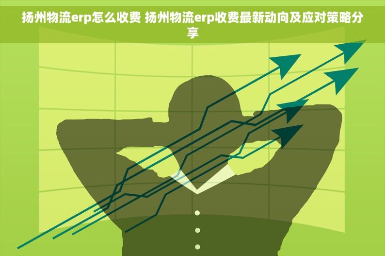 扬州物流erp怎么收费 扬州物流erp收费最新动向及应对策略分享