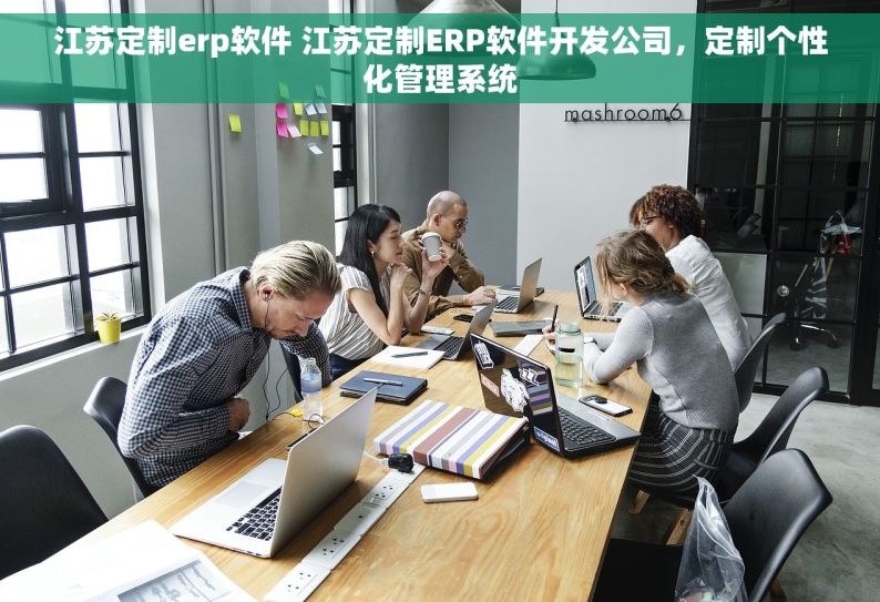 江苏定制erp软件 江苏定制ERP软件开发公司，定制个性化管理系统