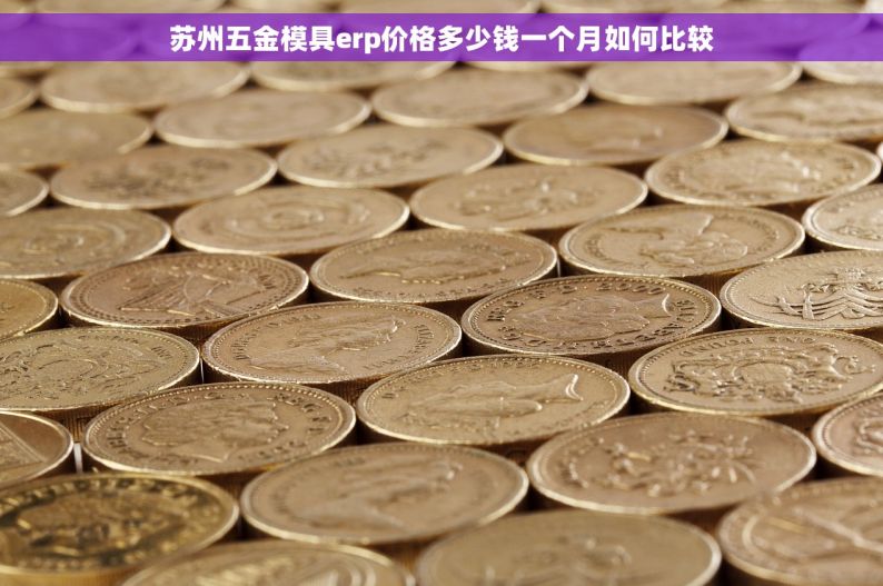 苏州五金模具erp价格多少钱一个月如何比较