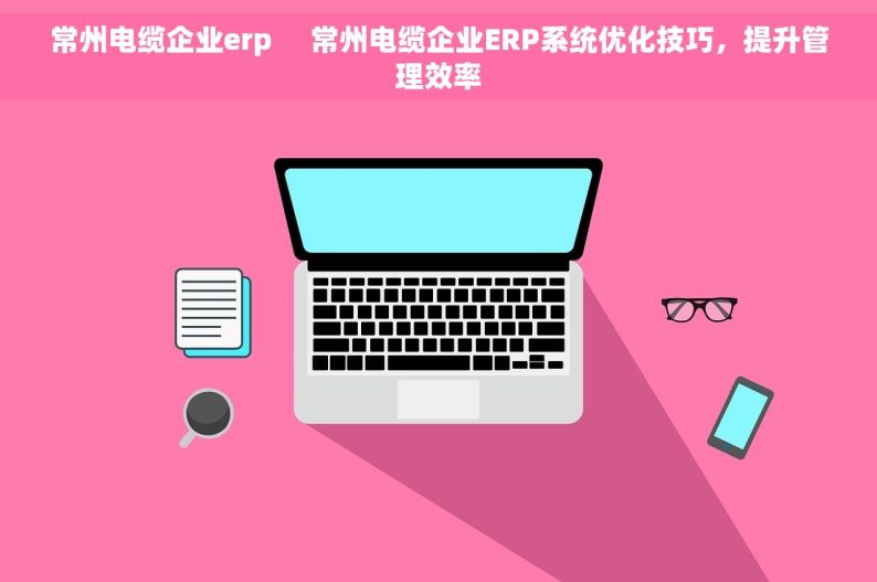 常州电缆企业erp     常州电缆企业ERP系统优化技巧，提升管理效率