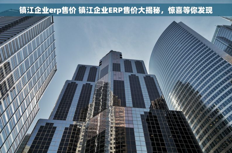 镇江企业erp售价 镇江企业ERP售价大揭秘，惊喜等你发现