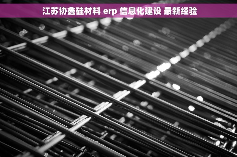  江苏协鑫硅材料 erp 信息化建设 最新经验