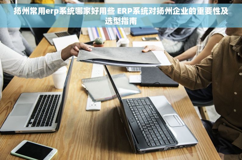 扬州常用erp系统哪家好用些 ERP系统对扬州企业的重要性及选型指南