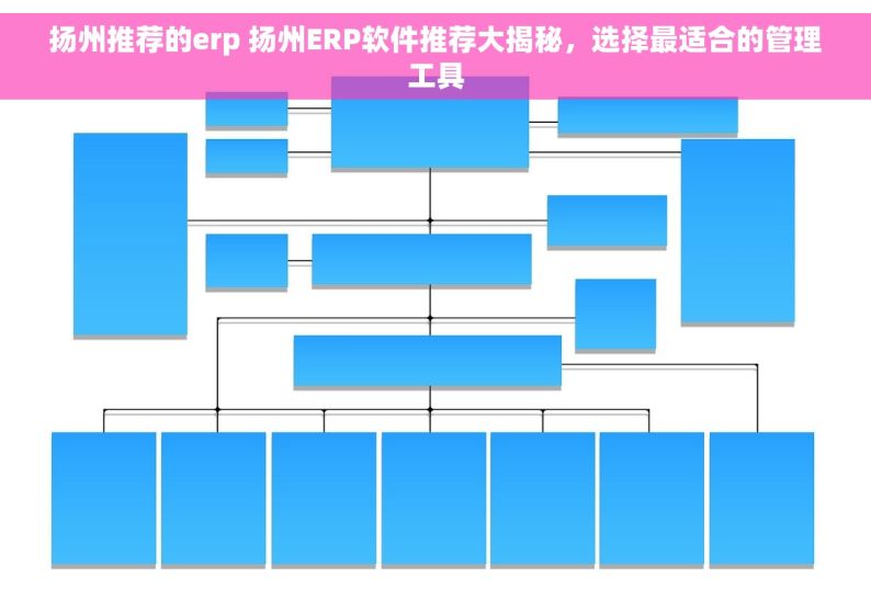 扬州推荐的erp 扬州ERP软件推荐大揭秘，选择最适合的管理工具