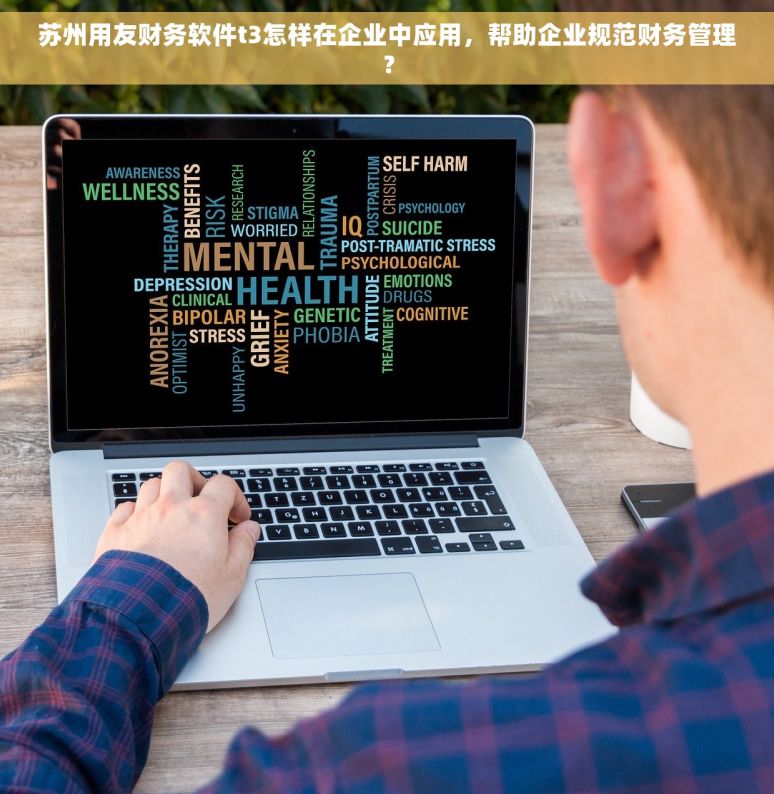 苏州用友财务软件t3怎样在企业中应用，帮助企业规范财务管理？