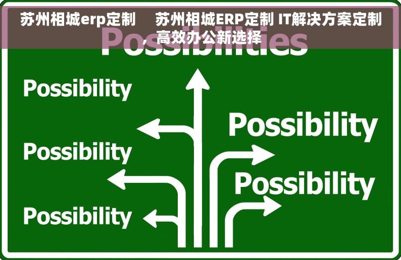 苏州相城erp定制     苏州相城ERP定制 IT解决方案定制，高效办公新选择