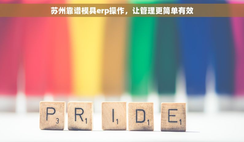 苏州靠谱模具erp操作，让管理更简单有效