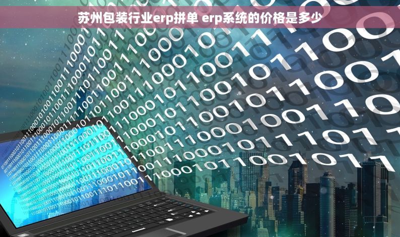 苏州包装行业erp拼单 erp系统的价格是多少