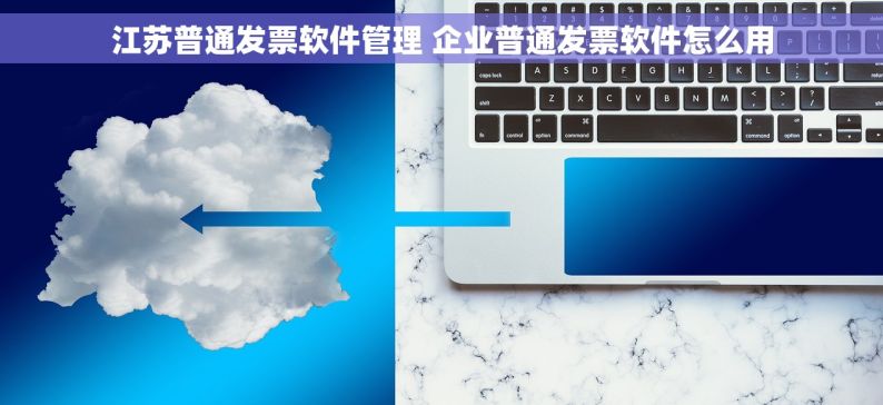 江苏普通发票软件管理 企业普通发票软件怎么用