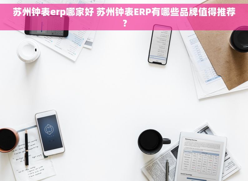 苏州钟表erp哪家好 苏州钟表ERP有哪些品牌值得推荐？