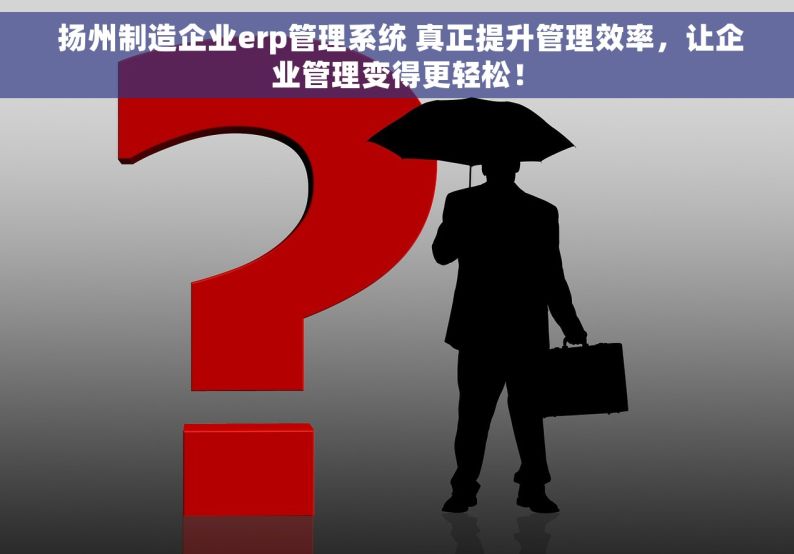  扬州制造企业erp管理系统 真正提升管理效率，让企业管理变得更轻松！