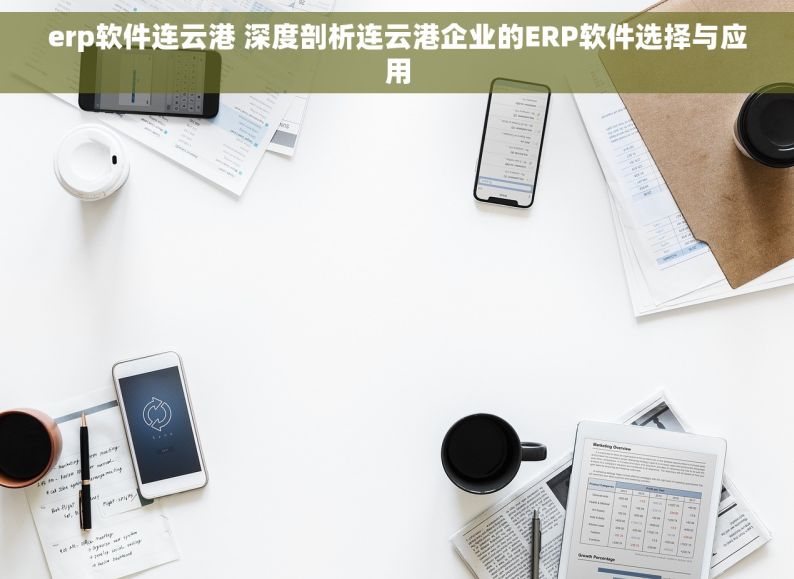 erp软件连云港 深度剖析连云港企业的ERP软件选择与应用