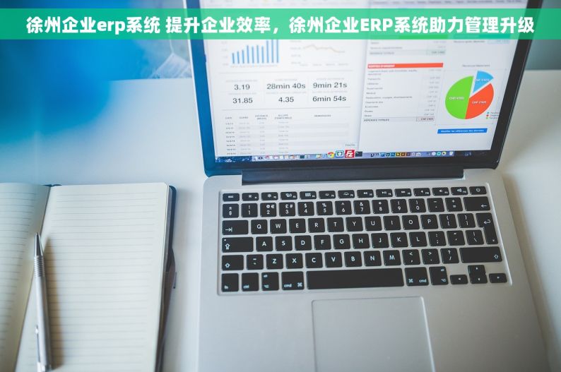 徐州企业erp系统 提升企业效率，徐州企业ERP系统助力管理升级