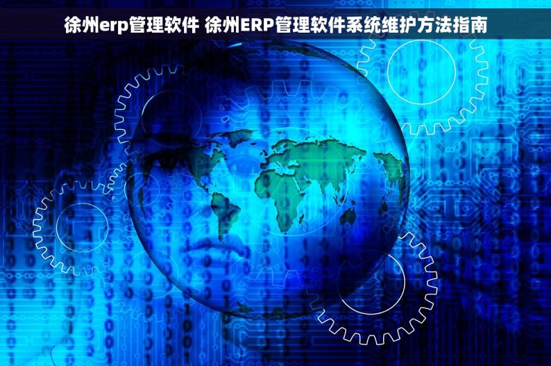 徐州erp管理软件 徐州ERP管理软件系统维护方法指南