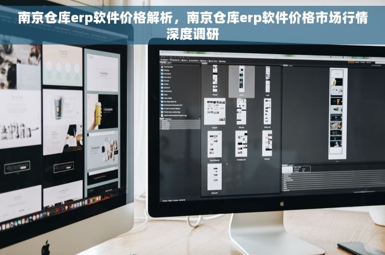 南京仓库erp软件价格解析，南京仓库erp软件价格市场行情深度调研