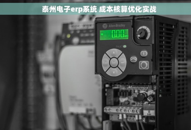     泰州电子erp系统 成本核算优化实战