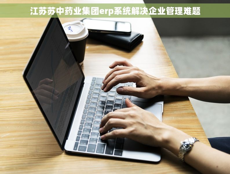 江苏苏中药业集团erp系统解决企业管理难题