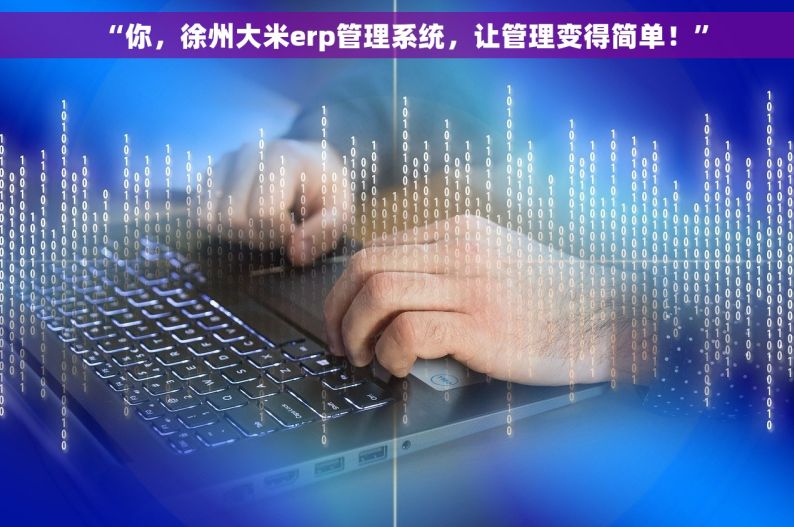 “你，徐州大米erp管理系统，让管理变得简单！”