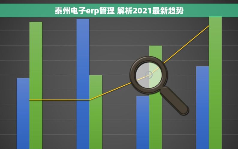 泰州电子erp管理 解析2021最新趋势