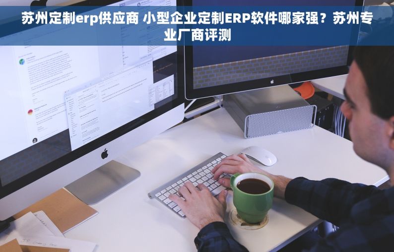 苏州定制erp供应商 小型企业定制ERP软件哪家强？苏州专业厂商评测