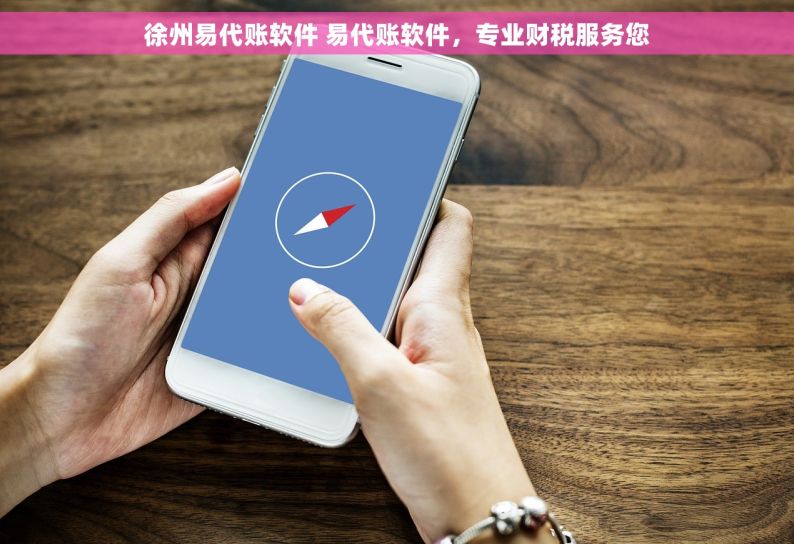 徐州易代账软件 易代账软件，专业财税服务您