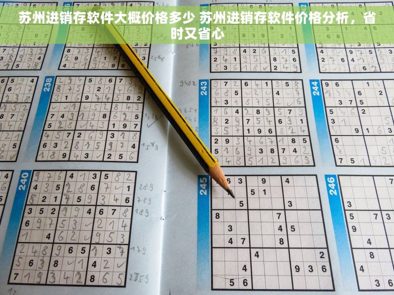 苏州进销存软件大概价格多少 苏州进销存软件价格分析，省时又省心