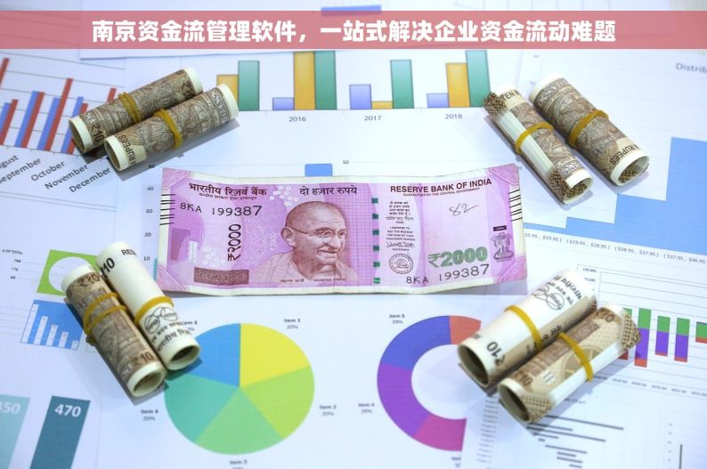 南京资金流管理软件，一站式解决企业资金流动难题