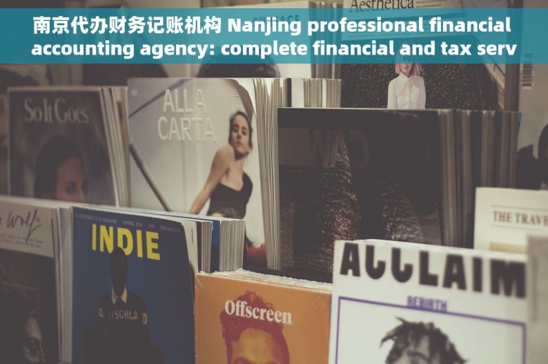 南京代办财务记账机构 Nanjing professional financial accounting agency: complete financial and tax services