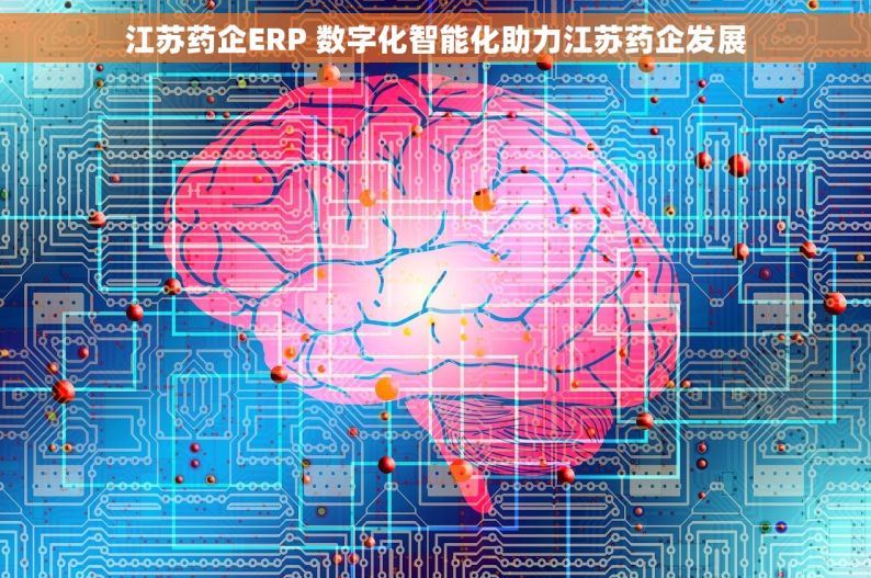 江苏药企ERP 数字化智能化助力江苏药企发展