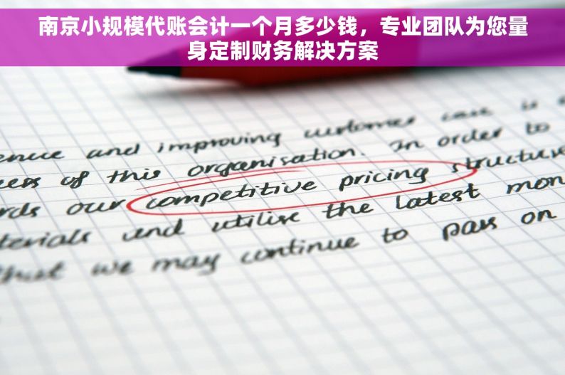 南京小规模代账会计一个月多少钱，专业团队为您量身定制财务解决方案