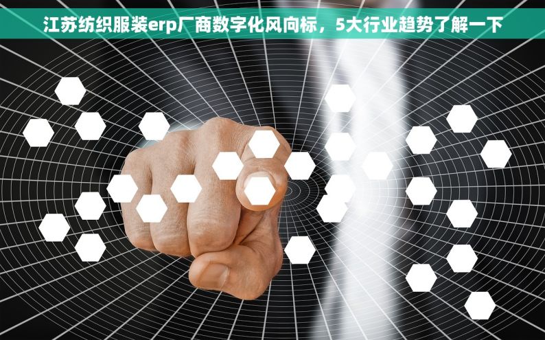 江苏纺织服装erp厂商数字化风向标，5大行业趋势了解一下