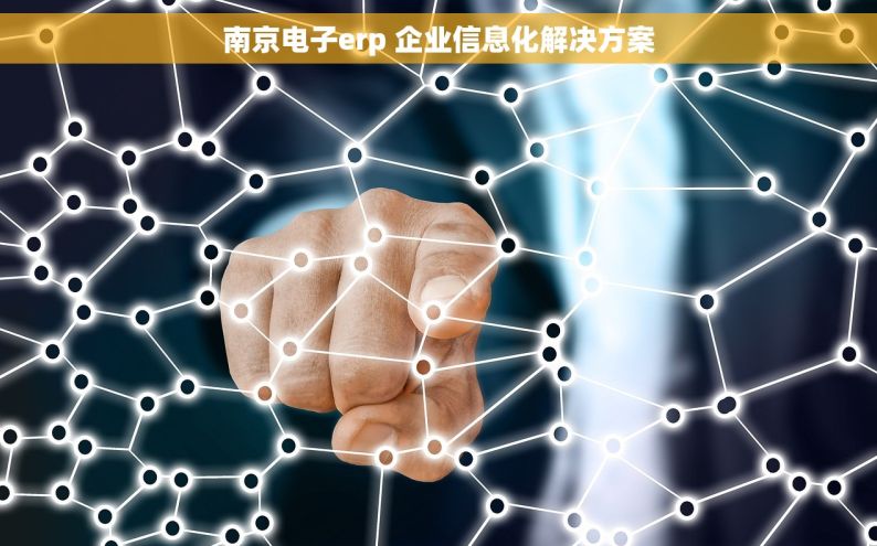 南京电子erp 企业信息化解决方案